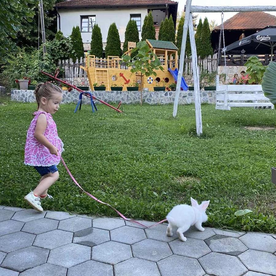 Restoran,,Vuk,, Trsic Panzió Kültér fotó